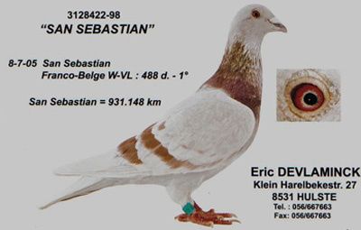 


Mijn duiven zijn van het super Ras Eric devlaminck uit hulste .
Ik heb voor 80 % duiven van Eric .En van Frans & Kris Velghe uit Zwevezele en Malfait  F.uit Jabbeke en Romain Goethals Uit Maldegem.